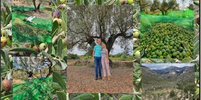 Finca Ecolive - Leverancier CoopSaam, Essen