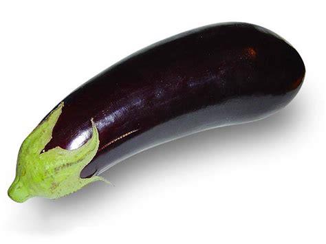 Aubergine De Vrijloophoeve Webshop