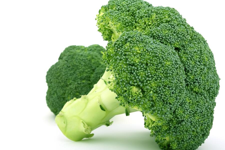 Broccoli De Vrijloophoeve Webshop