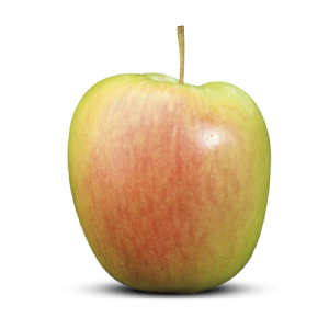 Appelen Delbare Producten in de kijker Webshop