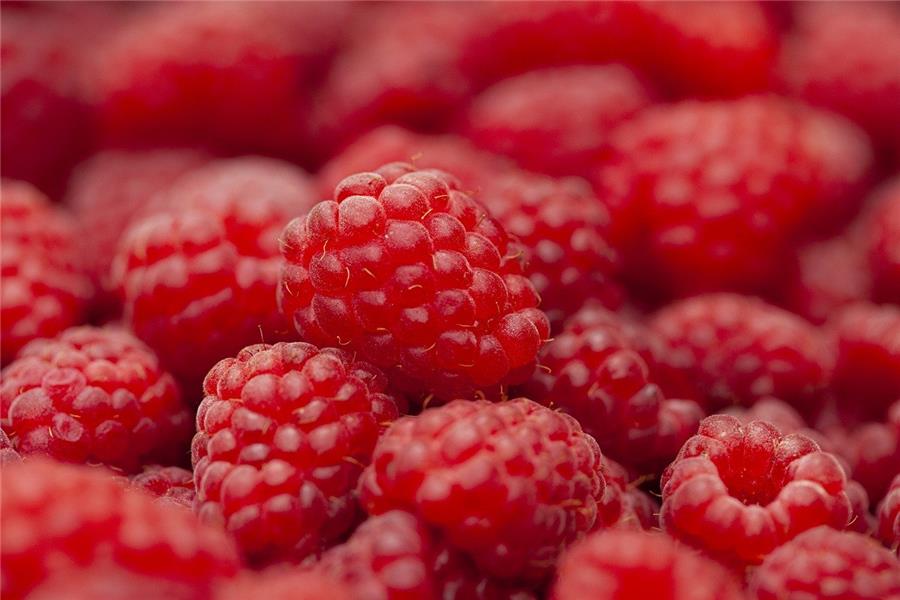 Framboos 125g De Vrijloophoeve Webshop
