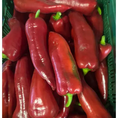 Rode zoetepunt paprika Producten in de kijker Webshop