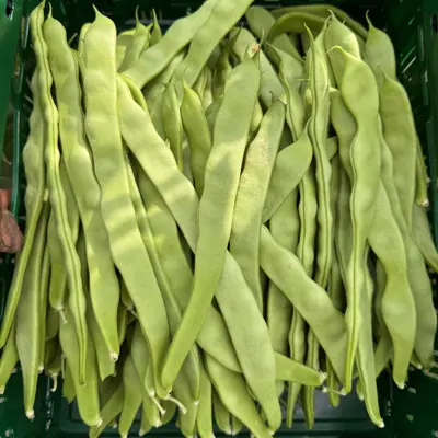 Snijbonen Producten in de kijker Webshop
