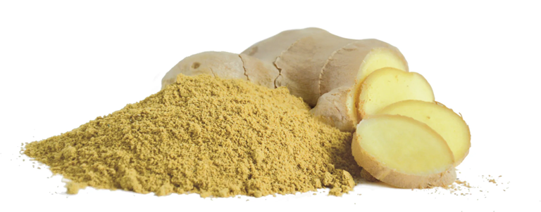 Gemberpoeder Producten in bulk Webshop