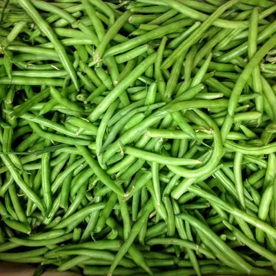 Groene Boontjes Producten in de kijker Webshop
