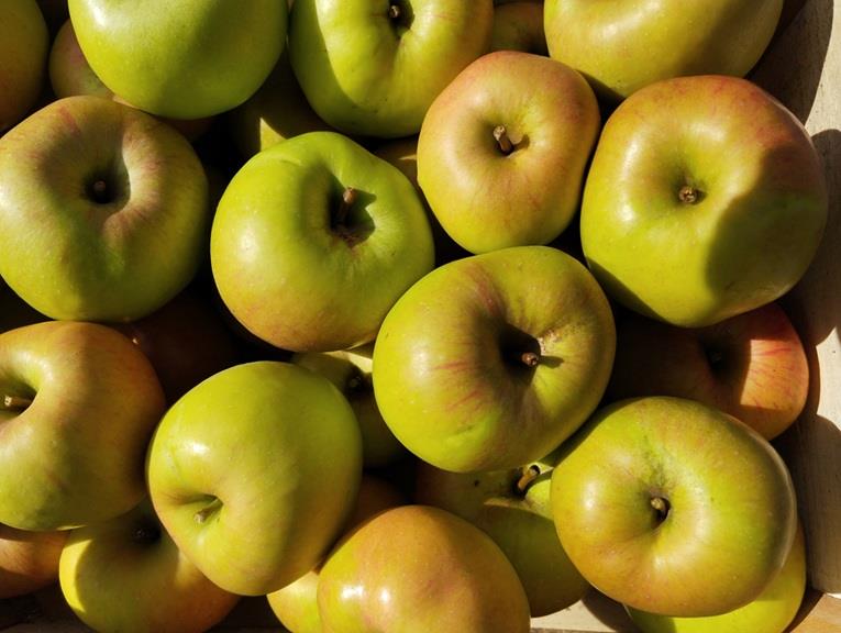 groene appel 't Loonse voedselbos Webshop