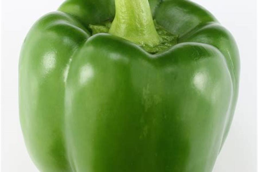 Paprika groen groenten  - CoopSaam Essen