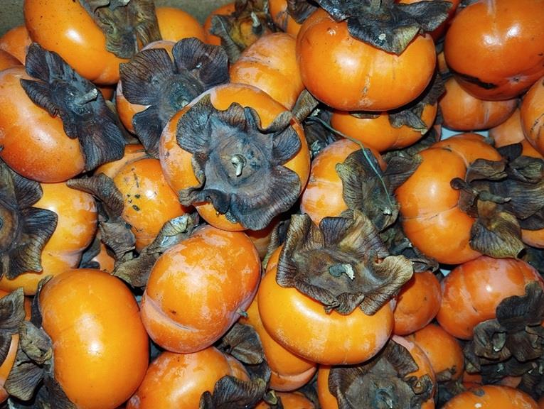 Kaki Producten in de kijker Webshop