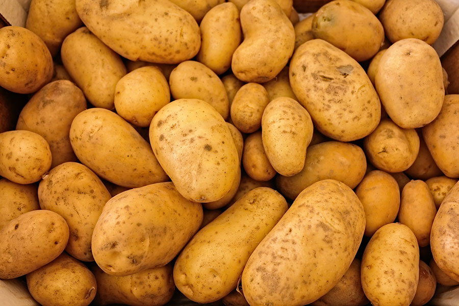 Aardappelen vastkokend (bio) Kempengoud Webshop