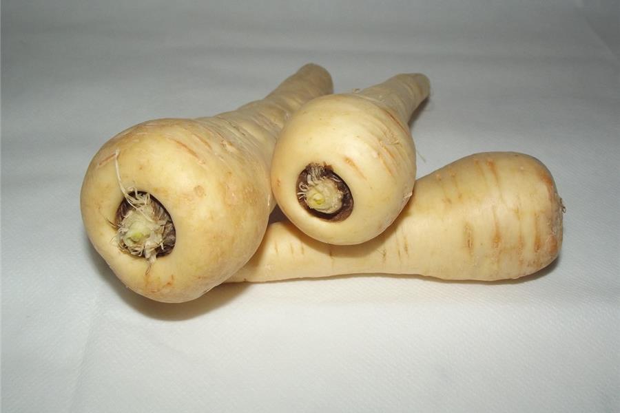 Pastinaak (bio) groenten  - CoopSaam Essen