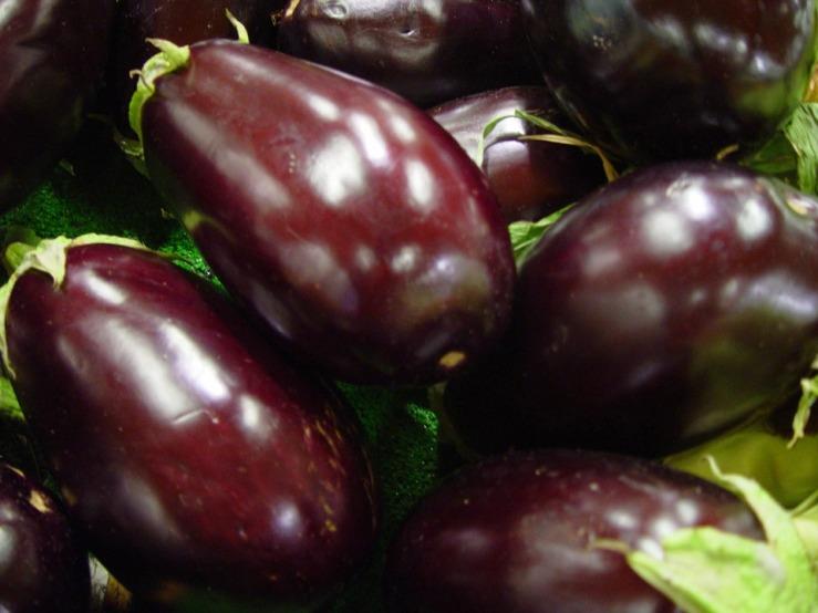 Aubergines (BIO) Kempengoud Webshop