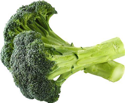 Broccoli (BIO) Kempengoud Webshop