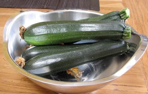 Courgettes (BIO) Kempengoud Webshop