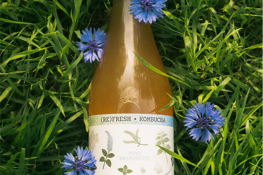 (RE)FRESH kombucha Munt en Brandnetel Producten in de kijker Webshop