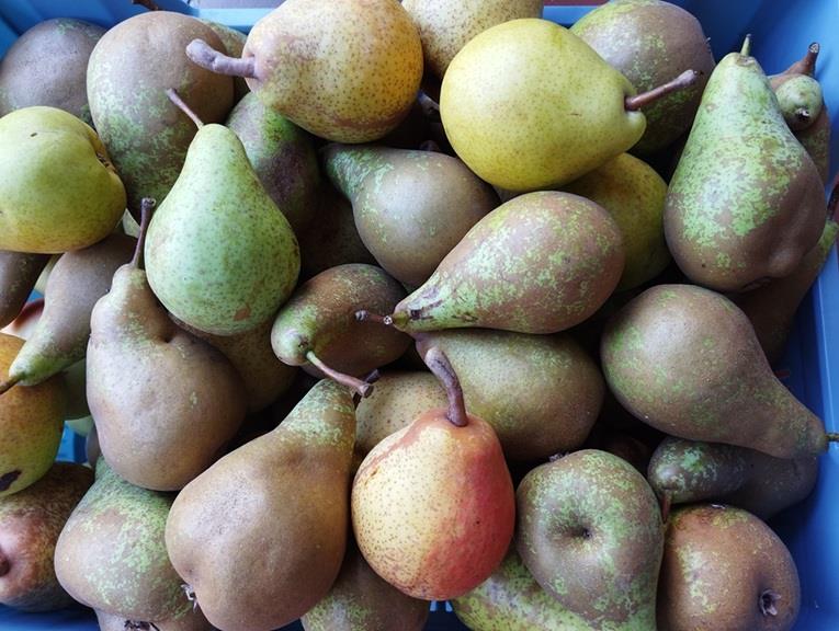 Perenmix Producten in de kijker Webshop
