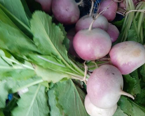 Raapjes groenten  - CoopSaam Essen