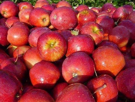 Appel Red Prince fruit  - CoopSaam Essen