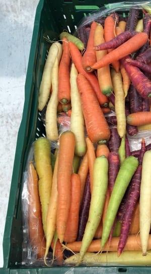 Regenboogwortelen Producten in de kijker Webshop