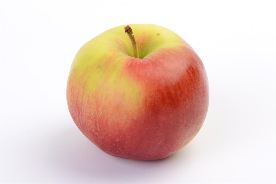 Appelen Santana Producten in de kijker Webshop