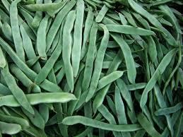 Tuinboon Kempengoud Webshop