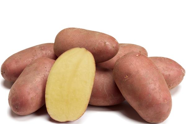 aardappelen Alouette Vers aanbod in de winkel op 3 april en 4 april Webshop