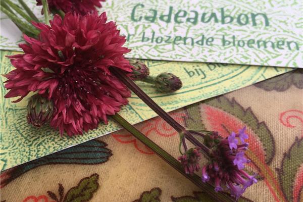 Plukbon/Cadeaubon Producten in de kijker Webshop