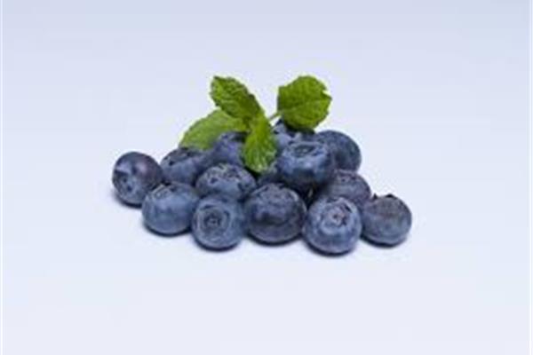 blauwe bosbes 125g Producten in de kijker Webshop