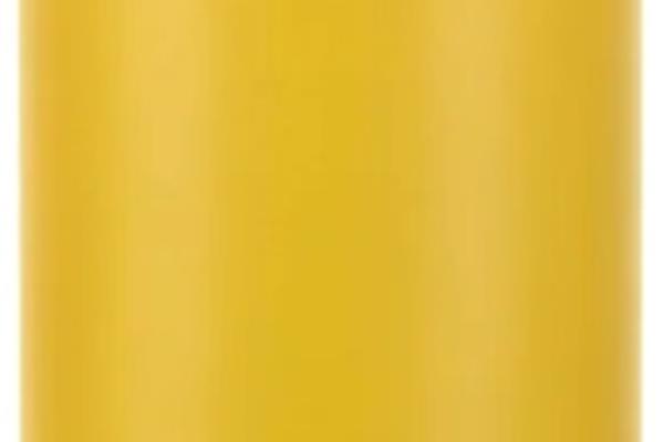 Can'it 280 ml Mango Producten in de kijker Webshop