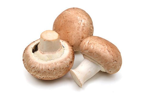 Kastanjechampignons Vers aanbod in de winkel op 3 april en 4 april Webshop