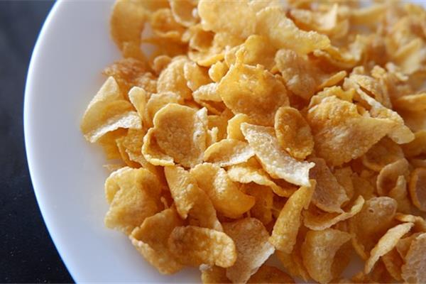 BIO Cornflakes Ontbijt Webshop