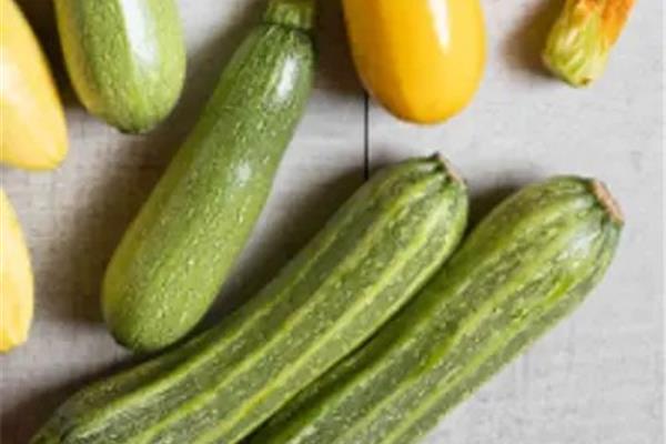 Courgettemix Producten in de kijker Webshop