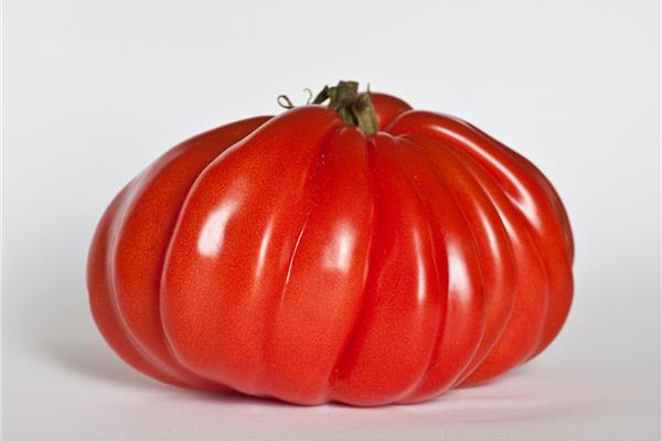 Coeur de Boeuf tomaten Producten in de kijker Webshop