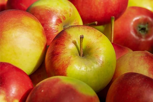 Appel Jonagold (bio) Fruit Webshop
