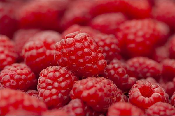 Framboos 125g Producten in de kijker Webshop