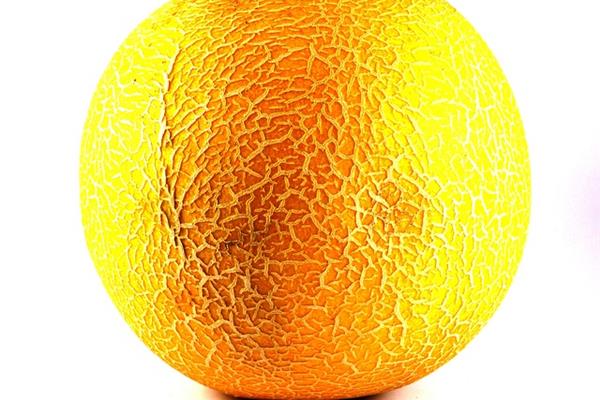 Galia meloen Producten in de kijker Webshop