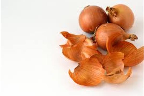 Gele ui Vers aanbod in de winkel op 3 april en 4 april Webshop