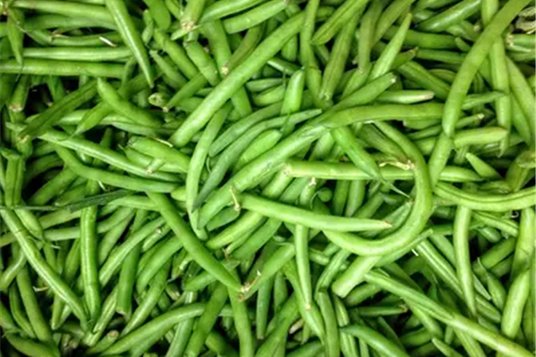 Groene Boontjes Producten in de kijker Webshop