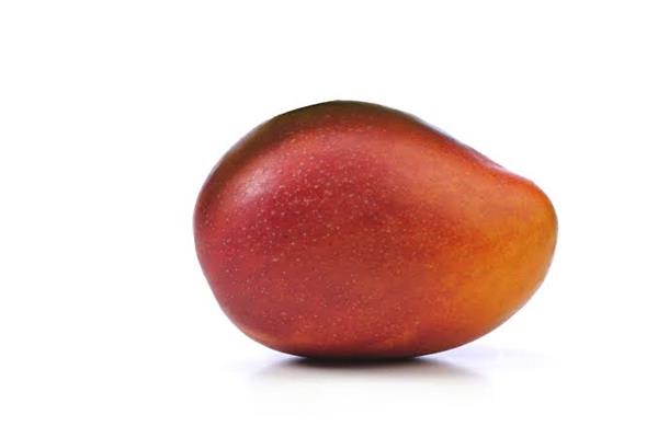 Mango Irwin Producten in de kijker Webshop