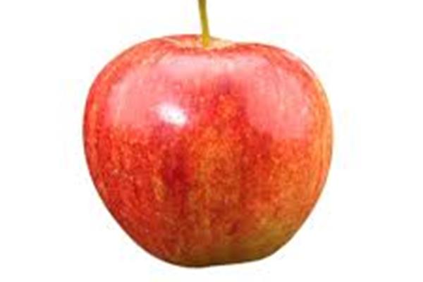 Appelen Jonagold Vers aanbod in de winkel op 3 april en 4 april Webshop