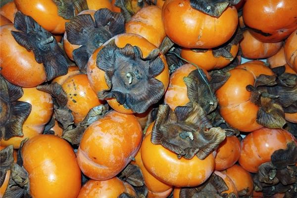 Kaki Producten in de kijker Webshop