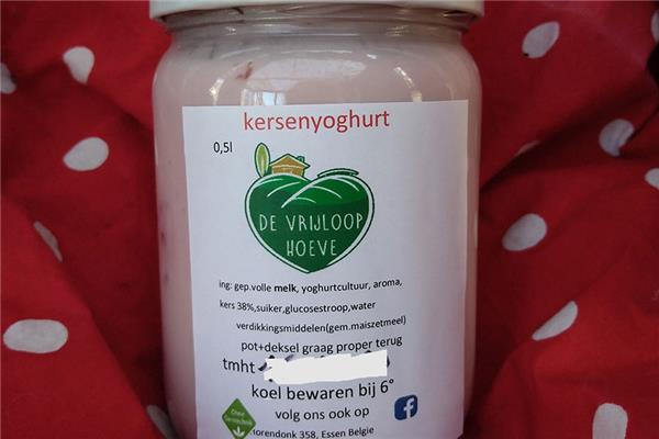 Yoghurt Fruit Bewerkt Webshop