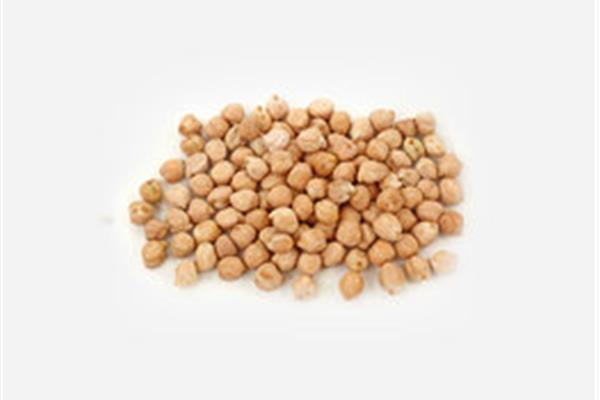 Bio kikkererwten Producten in bulk Webshop