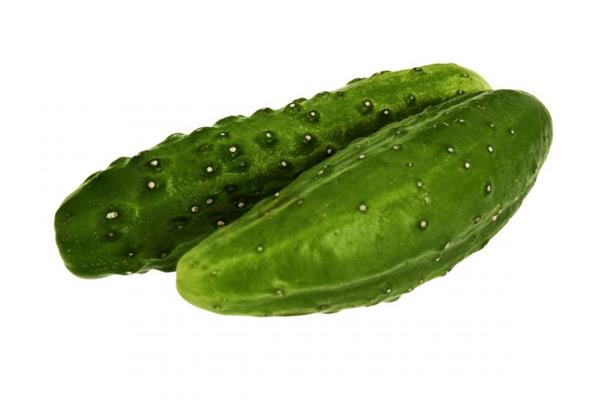 Komkommer - kort Vers aanbod in de winkel op 3 april en 4 april Webshop