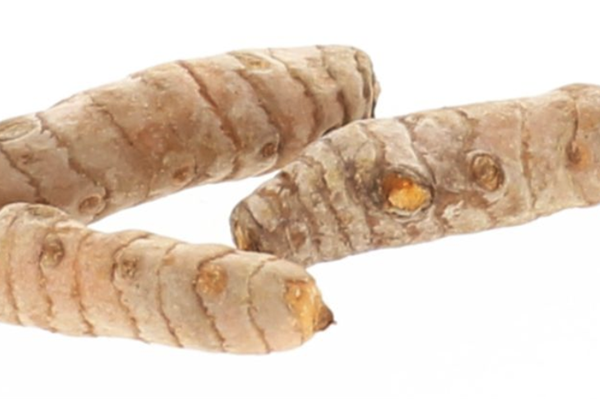 Kurkuma Producten in de kijker Webshop
