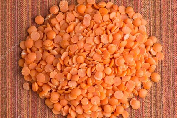 BIO linzen - rood Producten in bulk Webshop