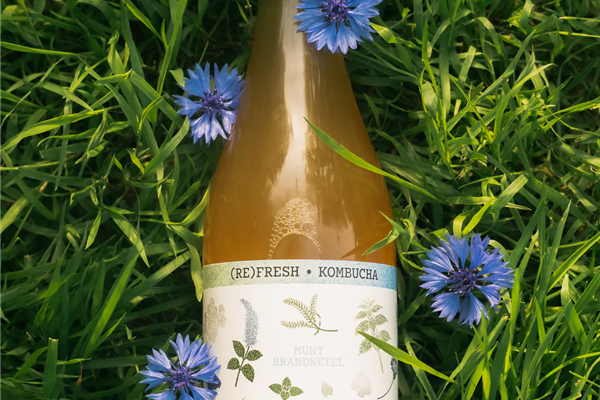 (RE)FRESH kombucha Munt en Brandnetel Producten in de kijker Webshop