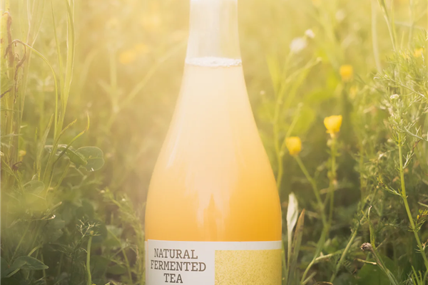 (RE)WILD natural fermented tea Kamille en Paardebloem Producten in de kijker Webshop