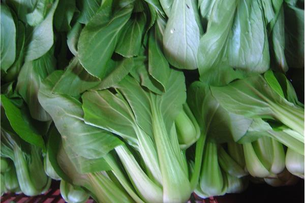 Paksoi Kempengoud Webshop