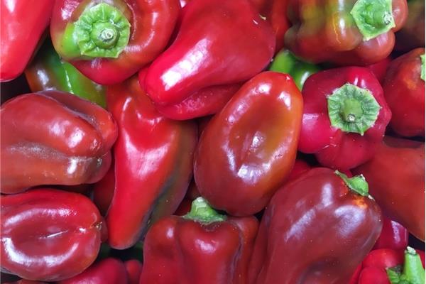 Paprika California Rood Vers aanbod in de winkel op 3 april en 4 april Webshop