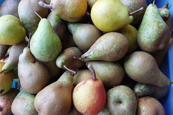 Perenmix Producten in de kijker Webshop